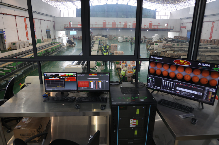 中国政策科学研究会徐洪才：以“数实融合”应对“三重压力”