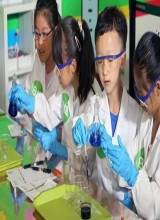 魏加宁：促消费和创新，不妨鼓励国外一流大学来华办教育