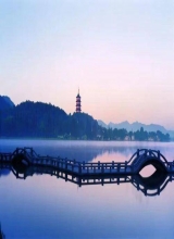 管涛：大家对资产价格波动性加大要有所准备 